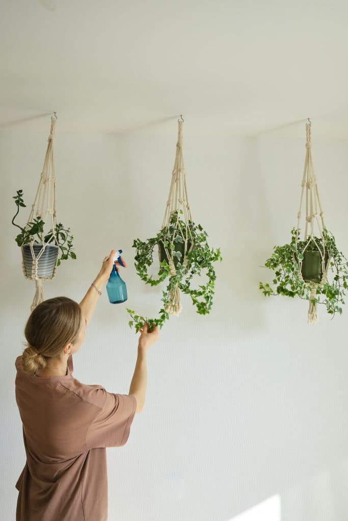 Hanging Plant Shelves