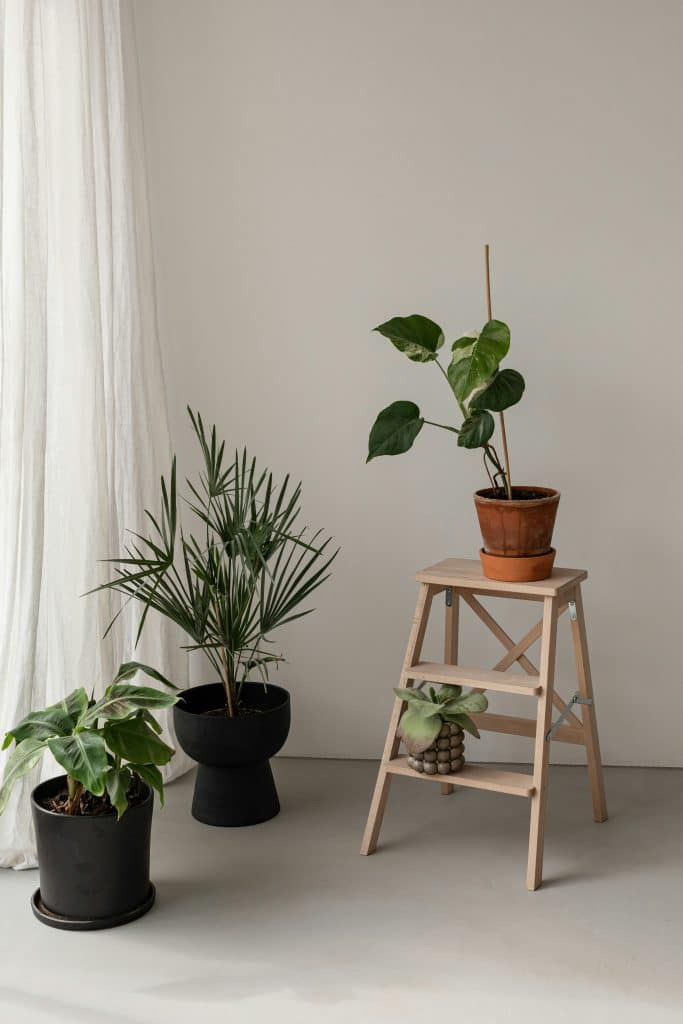 Wooden Plant Stands