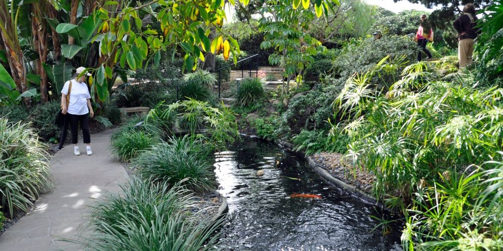 person meditating in peaceful garden