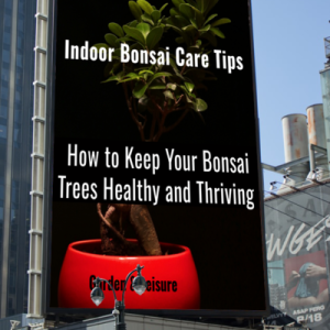 Indoor Bonsai