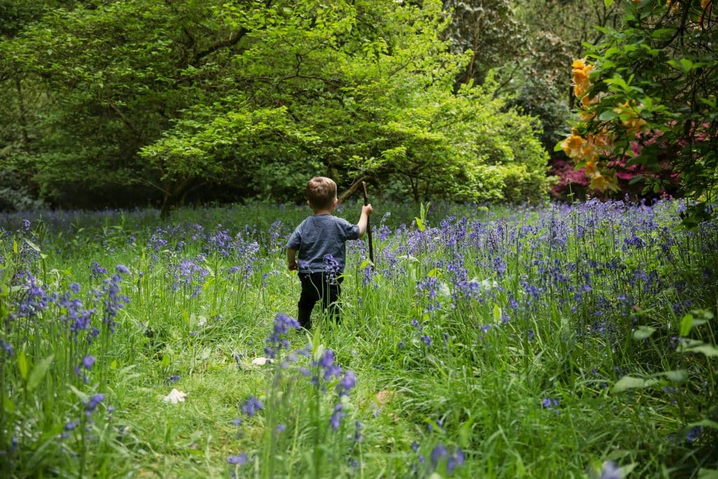 What is Considered Early Summer for Gardening?