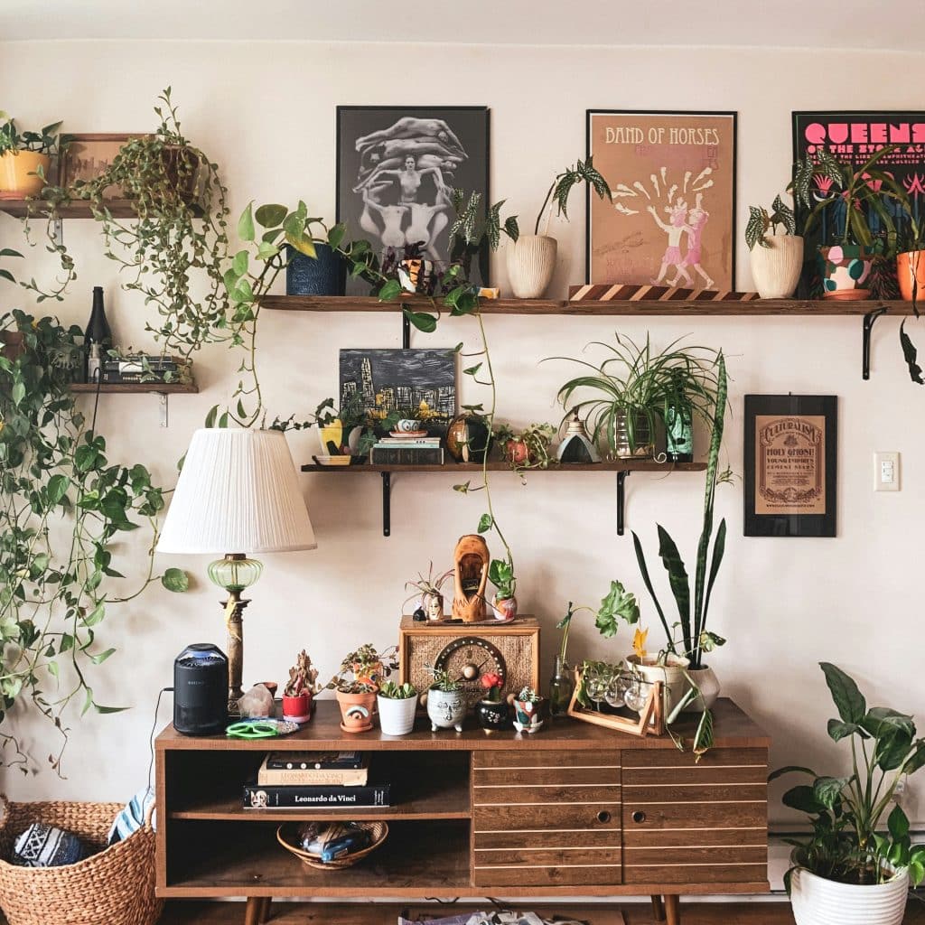 Window Plant Shelf