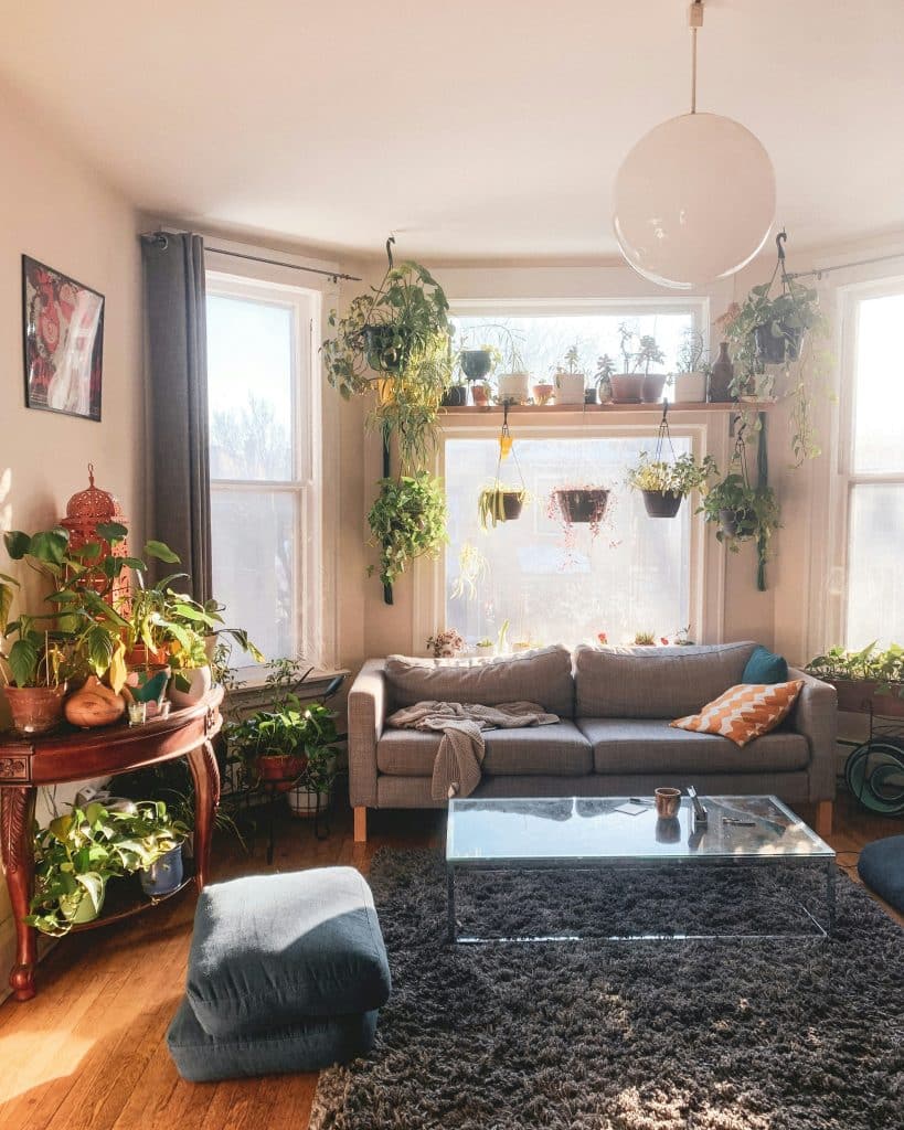 Window Plant Shelf