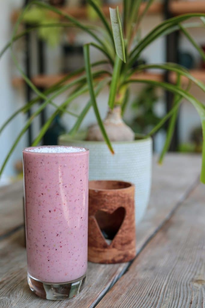 plant-based Protein Shakes